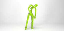 motion capturing preview