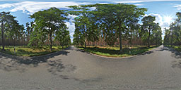 球型高动态 <em>(pack)</em> preview